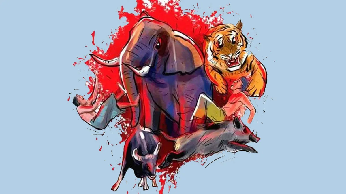 wildlife wildlife