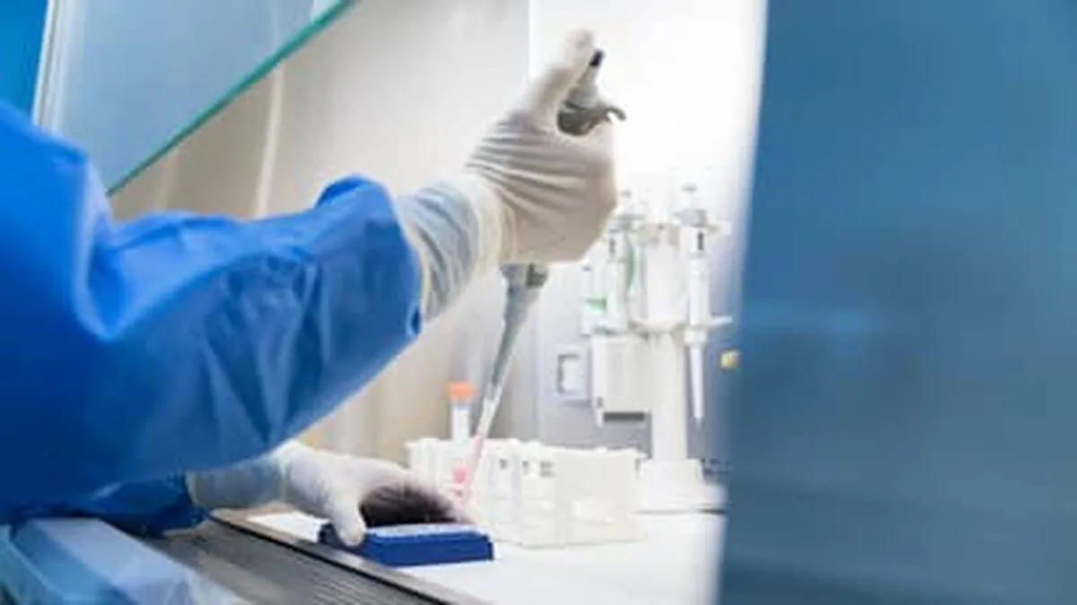 lab