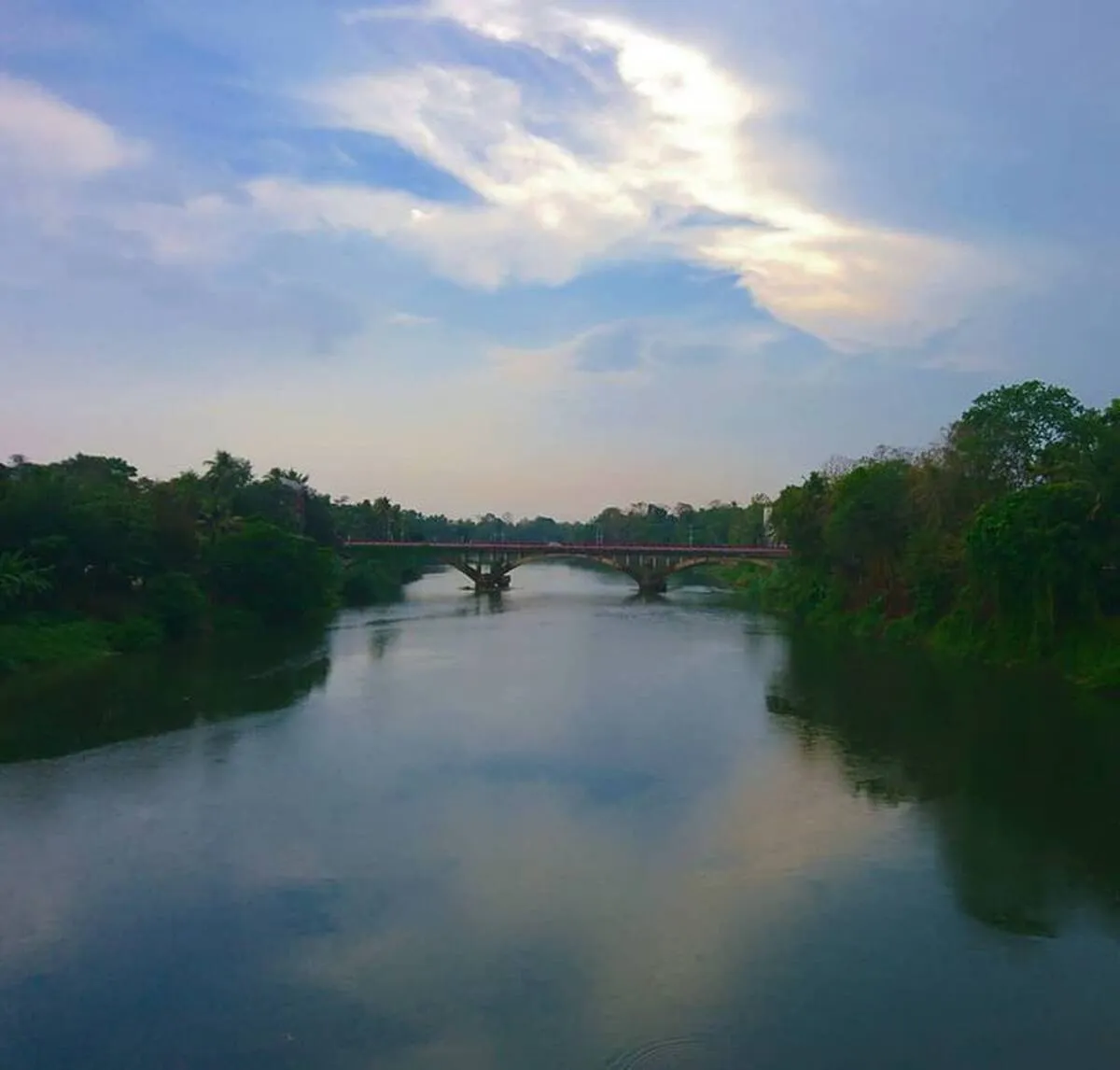 pamba-new