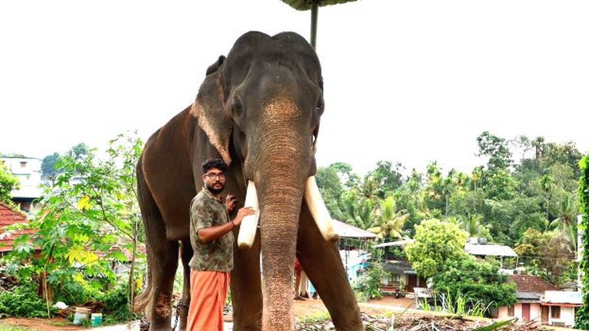 20-malayalappu