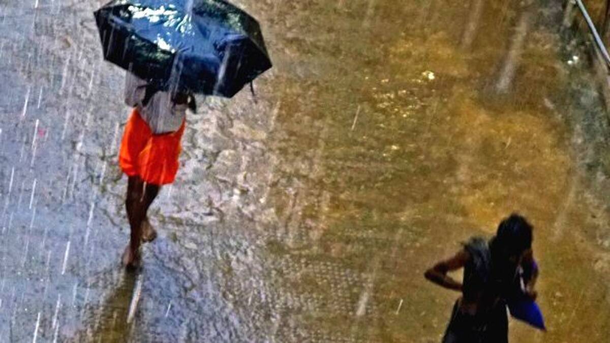 rain