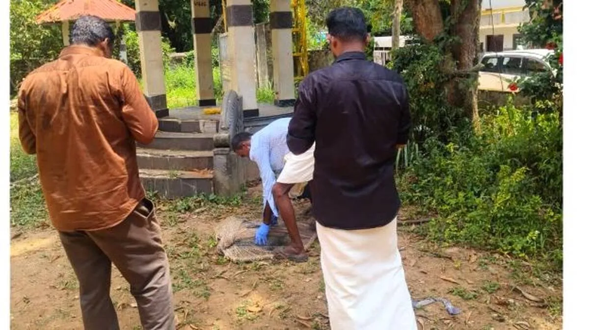 theruvunaya