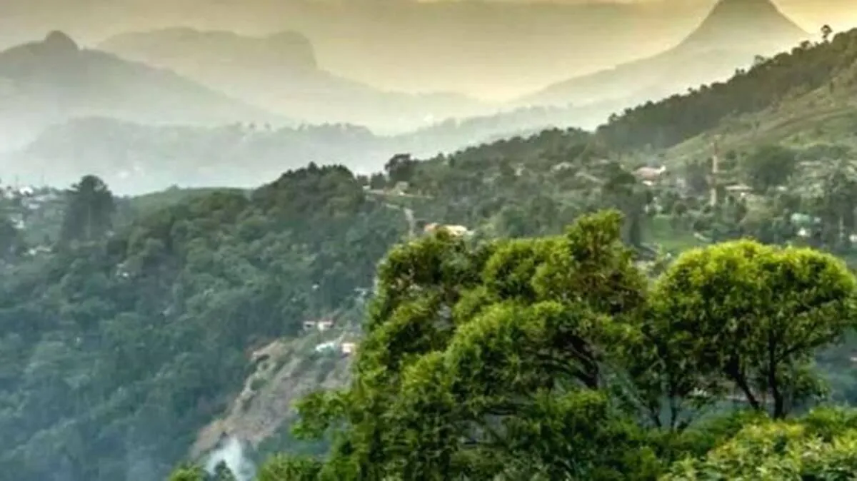 aa