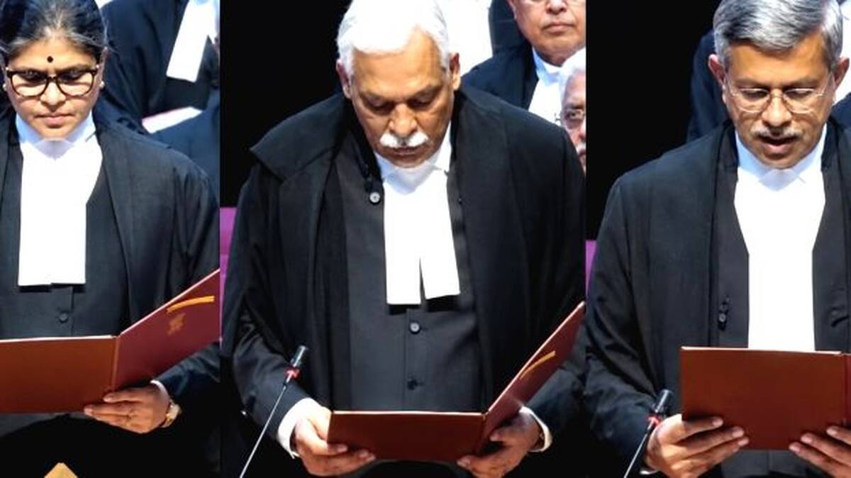 judge