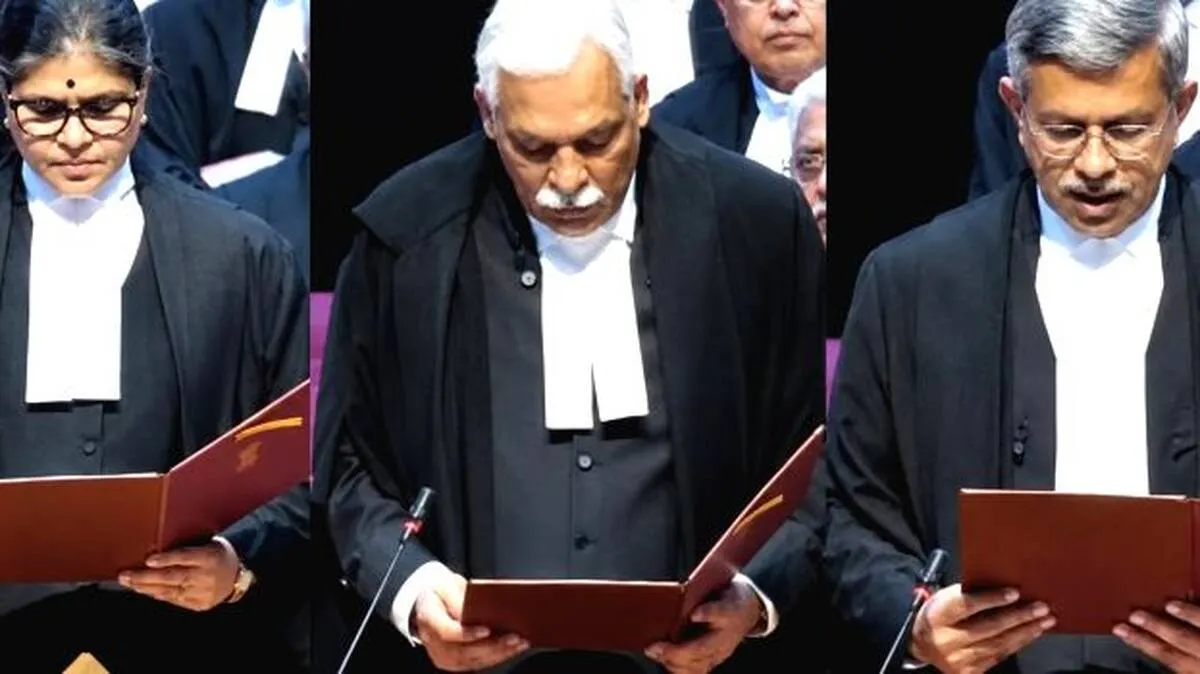 judge