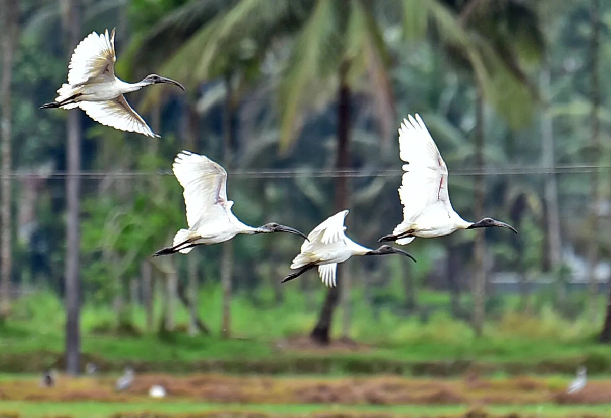 Kerala Kaumudi Photo Gallery