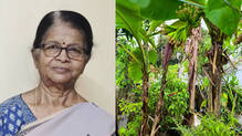 the-suucees--teraace-farming-story-of-sumam--aged-77