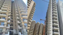 flat-