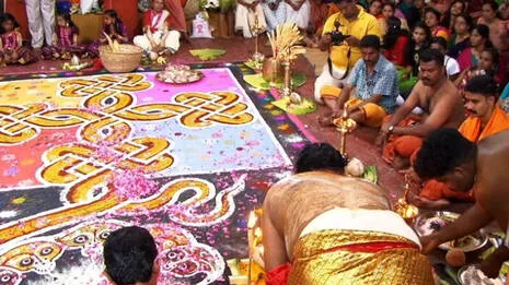 ayilya-mahotsavam.1.4051210