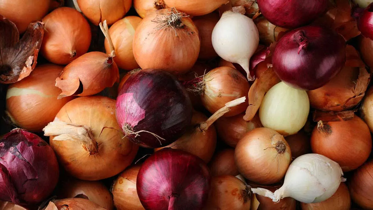 onions