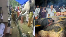 brahmadathan-omanachettan-pallatte-elephant
