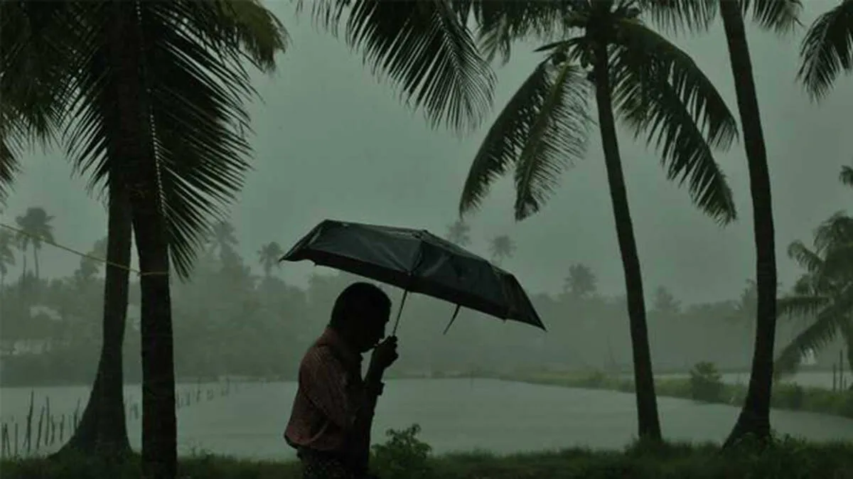 rain-alert