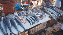 rotten-fish-sale-market-health-complaints