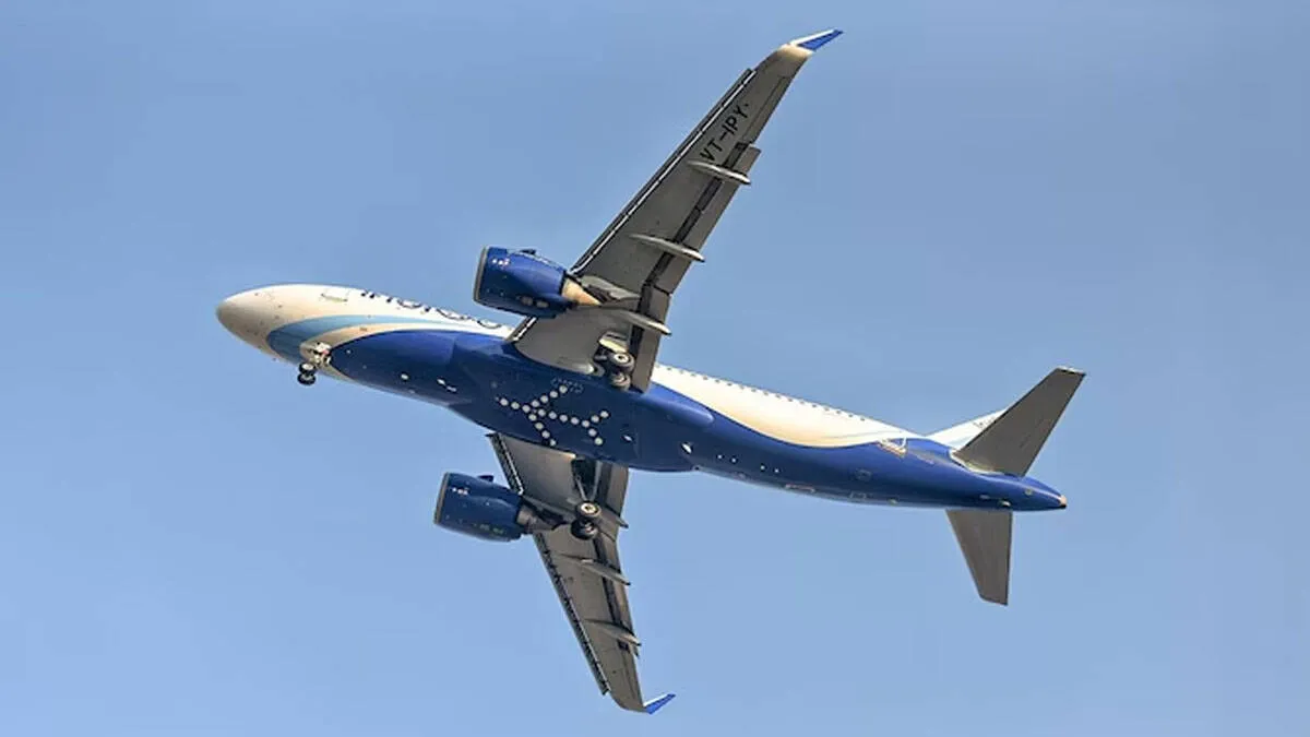 indigo