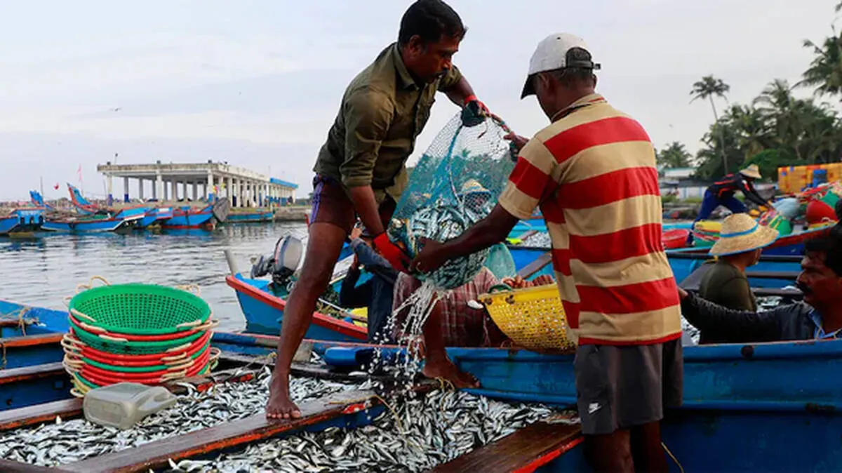 fish-