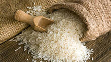 kanjikode-rice-park-yet-to-become-operational