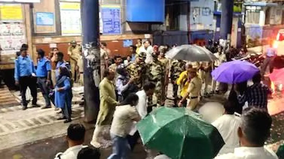 stampede