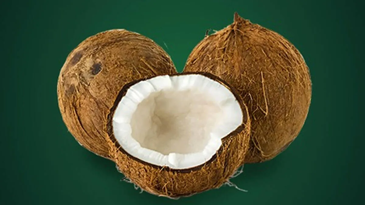 coconut