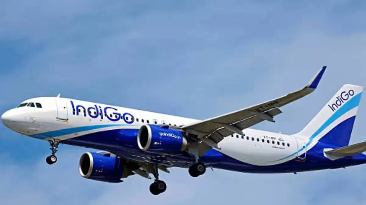 indigo