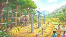 ai-technology-for-wildlife-protection