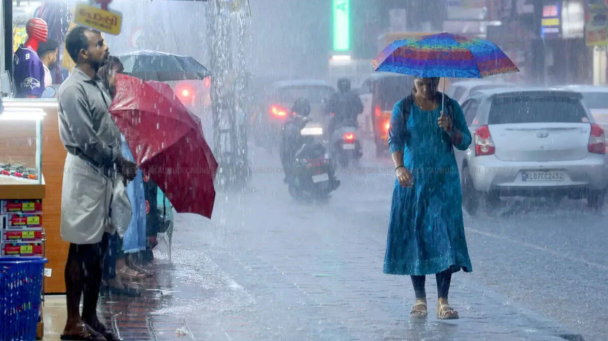 rain