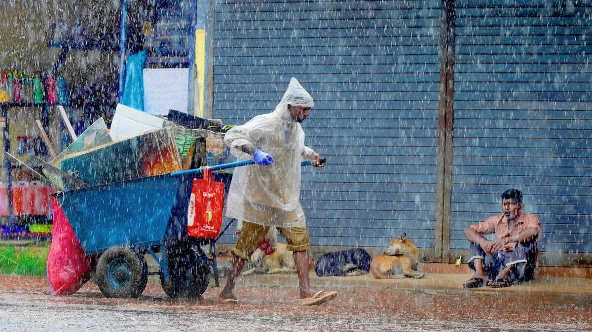rain