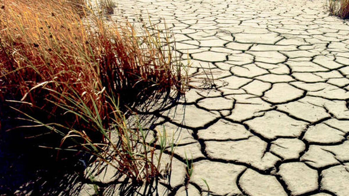 drought-