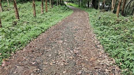 road.1.4057392