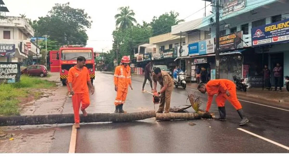 paravoor paravoor