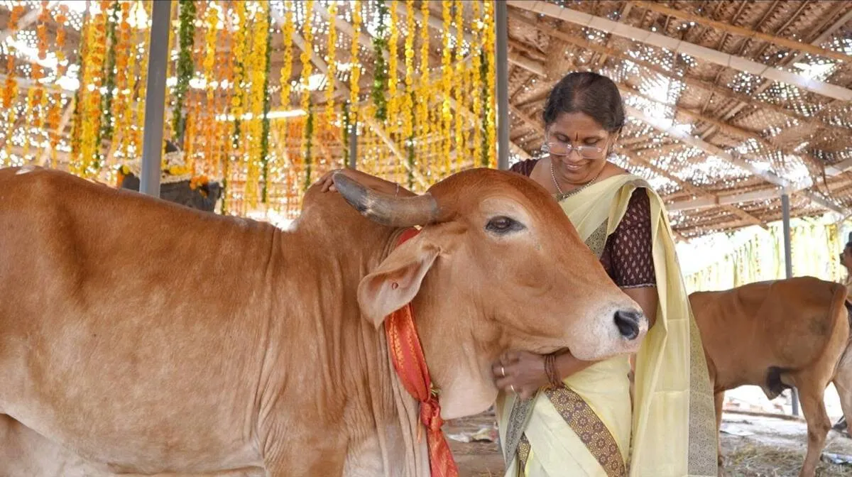 kalyani