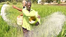 farmer
