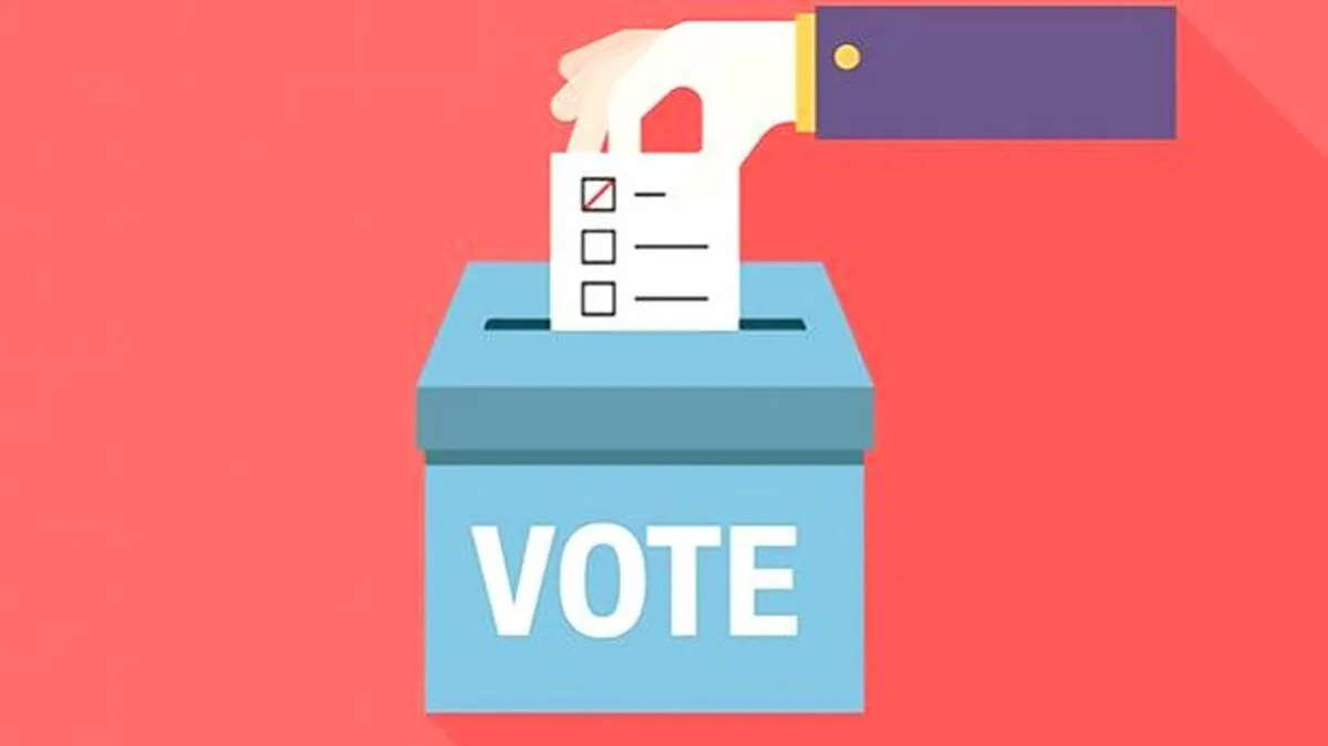 vote vote