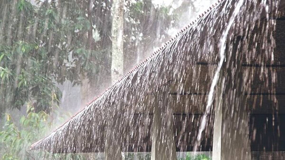 rain
