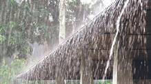 rain