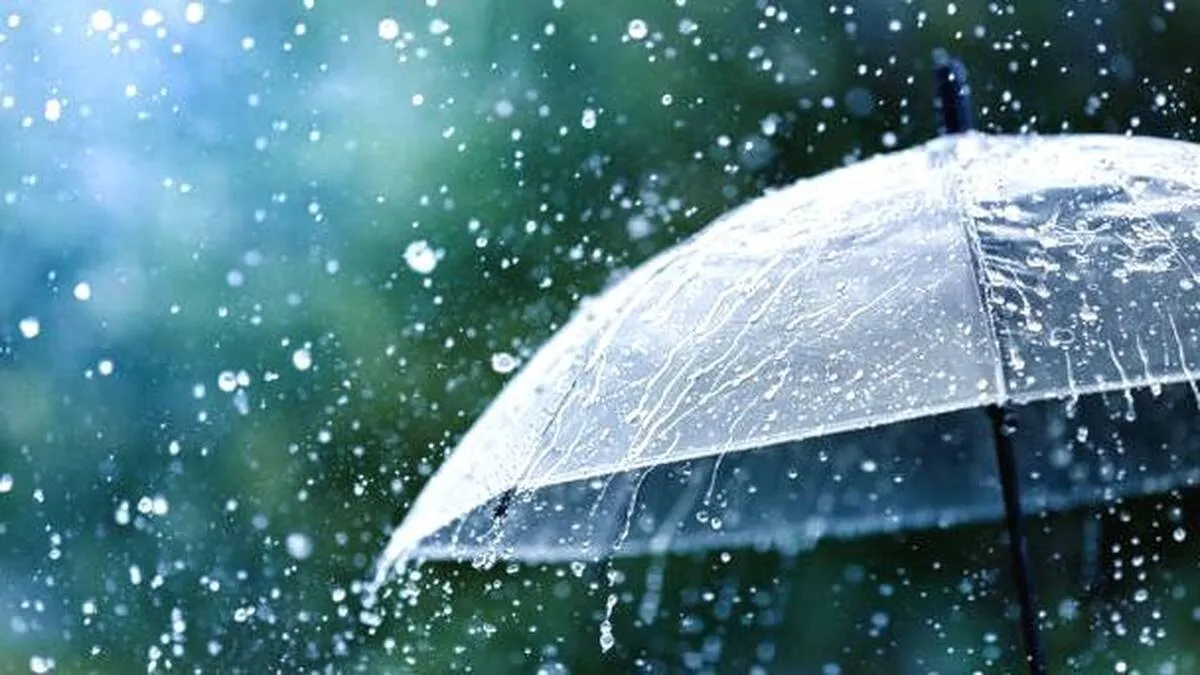 rain