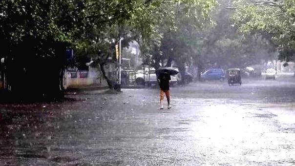 rain