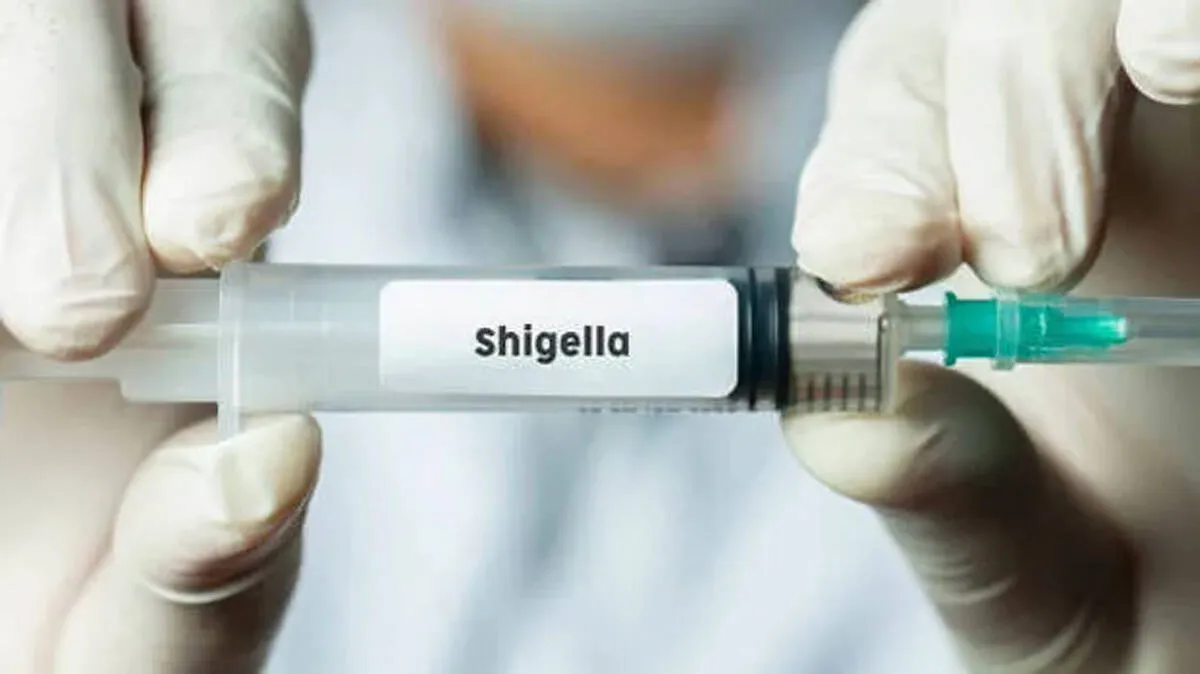 shigella