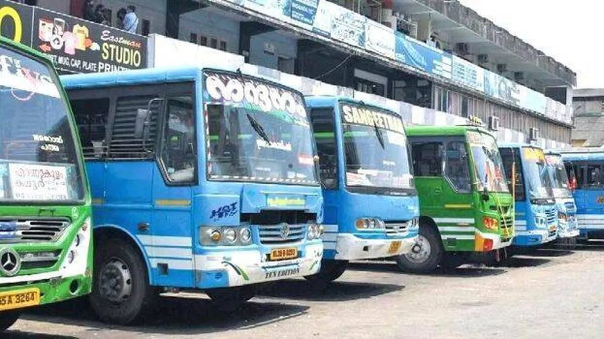 bus bus
