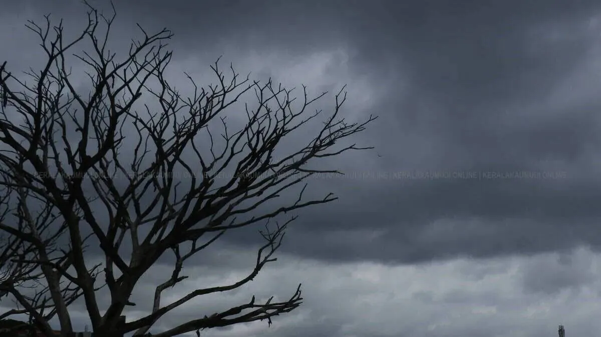 rain