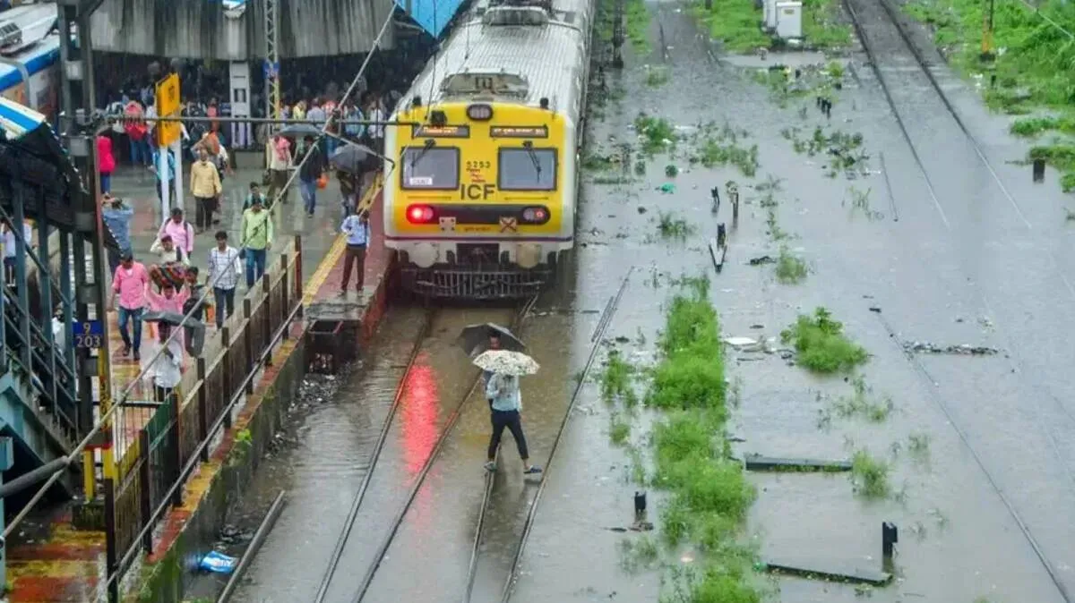 train