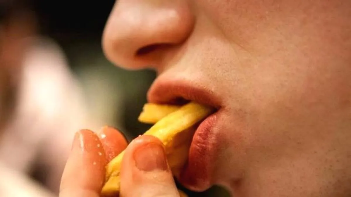 french-fries-