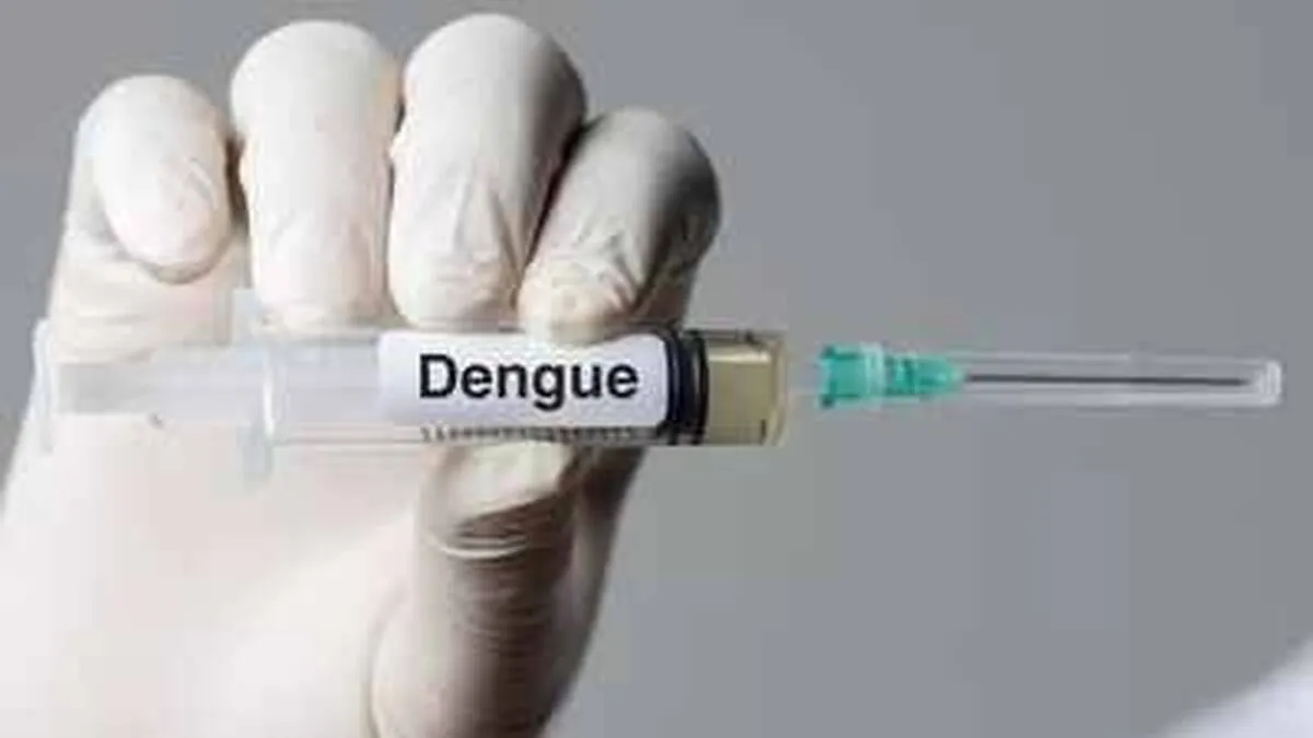 dengue-