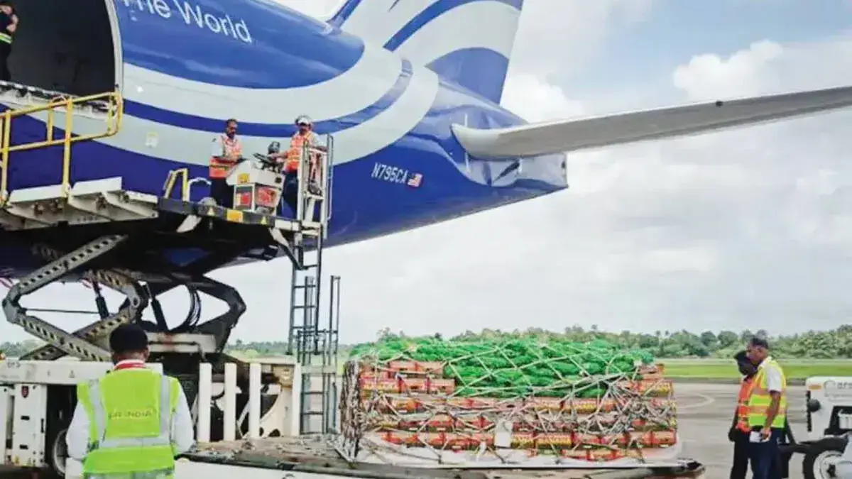 cargo-flight