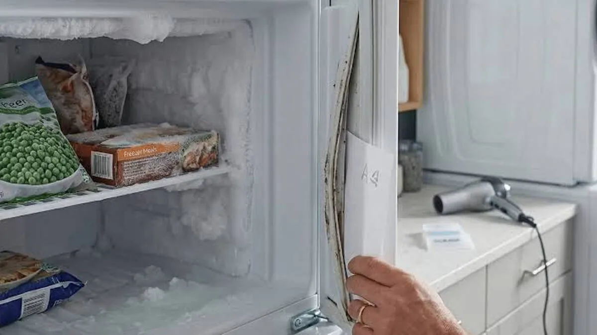 fridge-