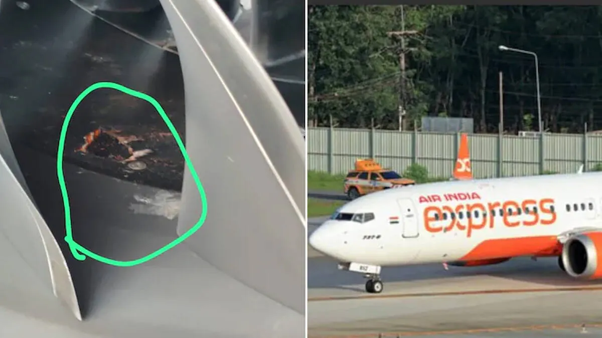 Air India Express flight hit by bird; all 148 passengers safe