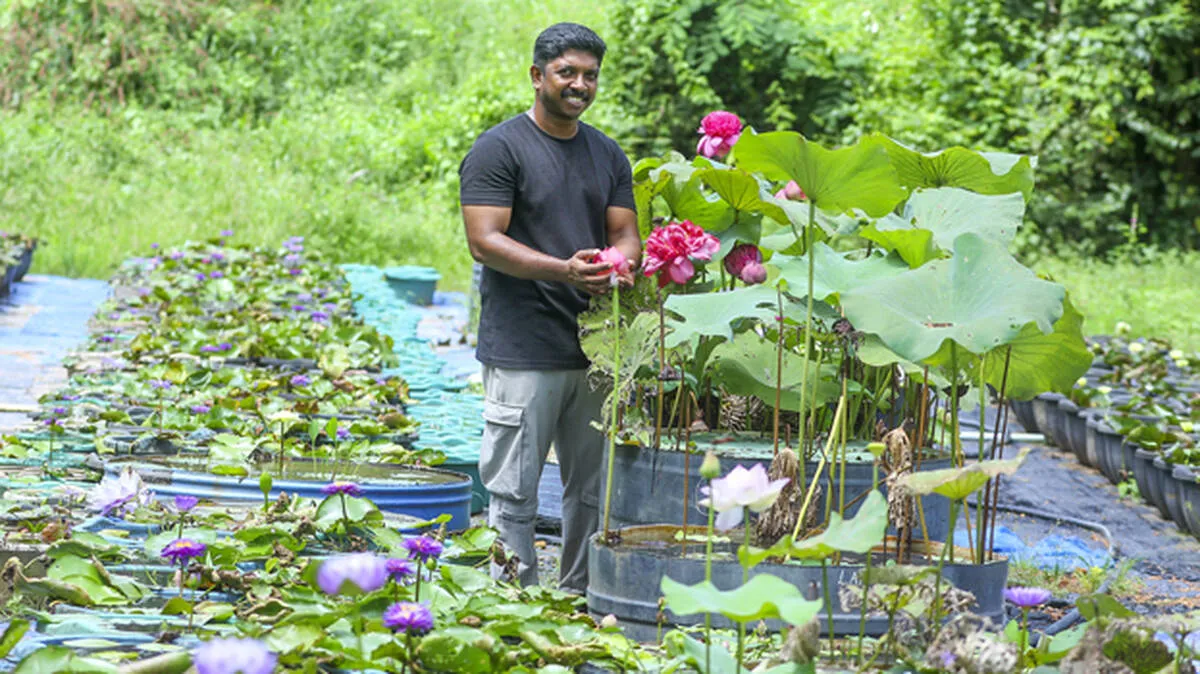 ganesh-kumar-with-lotuses
