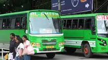 bus